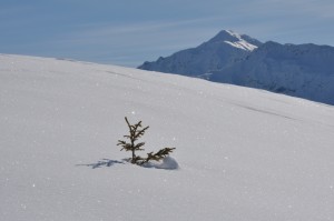 Klosters            